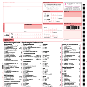 Anforderungsschein 4 - Gynäkologie / Geburtshilfe